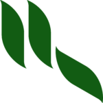 Logomark - Main Color Logomark - Green + White